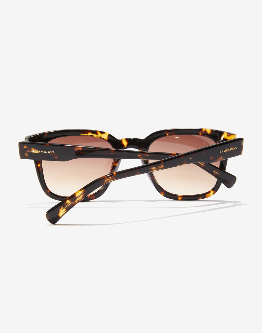 HAWKERS X PIERRE GASLY - STACK CAREY - Imagen 2