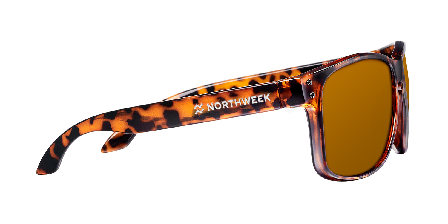 BOLD TORTOISE - Imagen 2