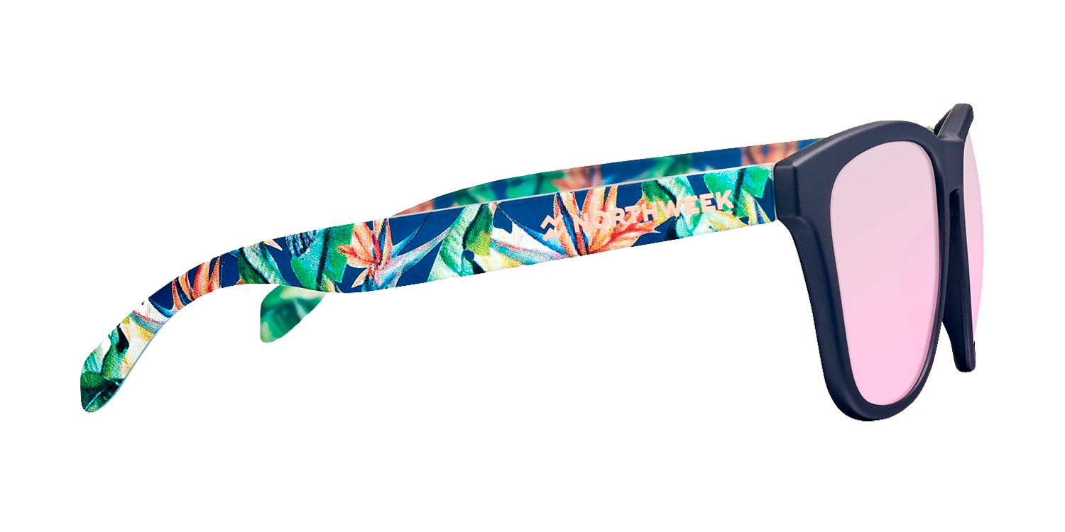 FICUS EDITION - Imagen 2