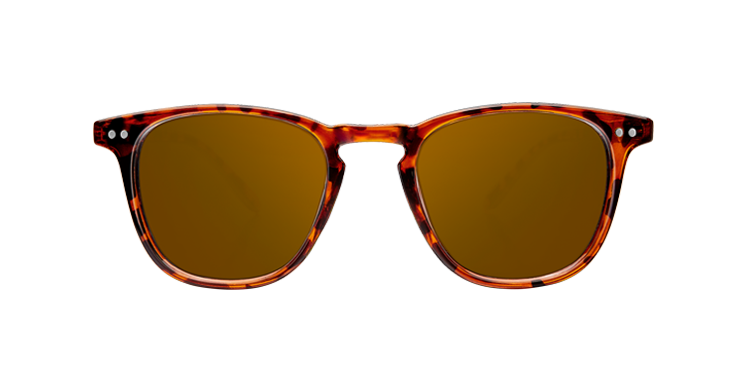 WALL TORTOISE - Imagen 4